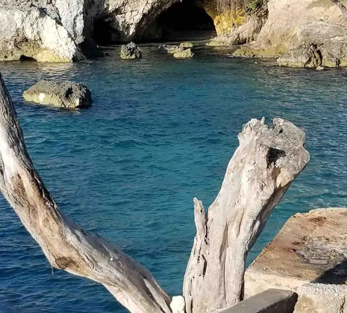 Endless Ocean Escape -Private Balcony Studio Negril Apartment